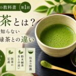 茶筅と抹茶碗に入った鮮やかな抹茶｜抹茶の基本と粉末緑茶との違いを解説